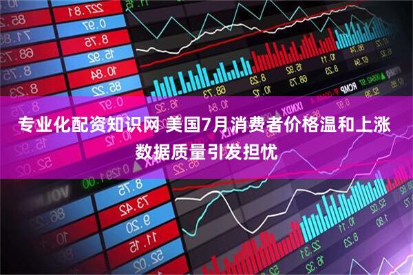 专业化配资知识网 美国7月消费者价格温和上涨 数据质量引发担忧
